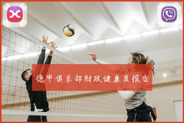 德甲俱乐部财政健康度报告
